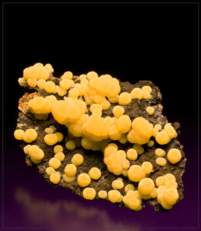 Mimetite yellow isolated balls San Pedro Corralitos Mexico