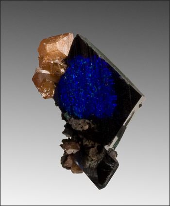 azurite with wulfenite thumbnail Tsumeb Namibia